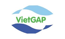 Dịch Vụ Visa Việt Khôi